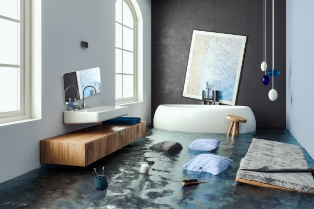 Best Local water damage restoration  in Clarkson Valley, MO