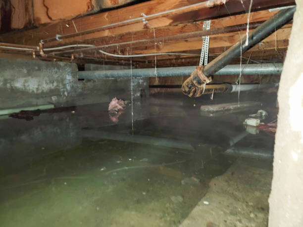 Best Ceiling water damage repair  in Clarkson Valley, MO