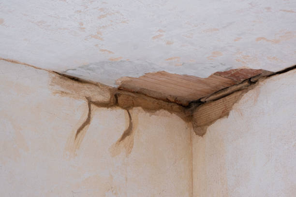 Best Professional water damage repair  in Clarkson Valley, MO