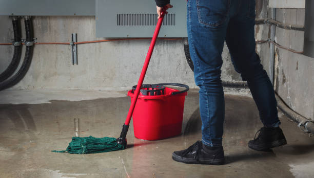 Best Water damage cleanup near me  in Clarkson Valley, MO
