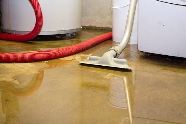 Best Water damage contractors near me  in Clarkson Valley, MO
