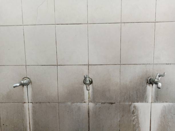 Best Professional water damage repair  in Clarkson Valley, MO