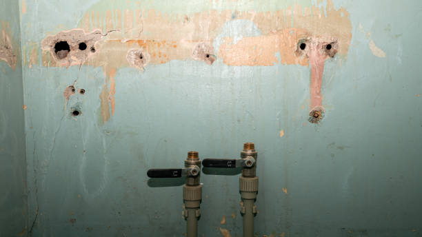 Best Emergency water damage restoration  in Clarkson Valley, MO