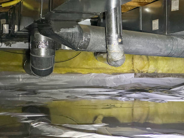 Carpet water damage restoration in Clarkson Valley, MO