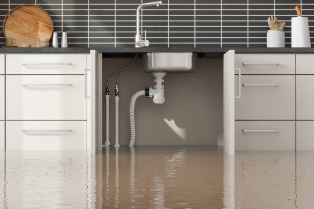 Best Mold removal after water damage  in Clarkson Valley, MO