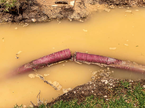 Best Water damage restoration experts  in Clarkson Valley, MO
