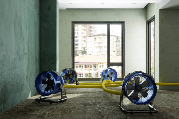 Best Carpet water damage restoration  in Clarkson Valley, MO