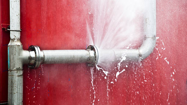 Best Flood damage cleanup  in Clarkson Valley, MO